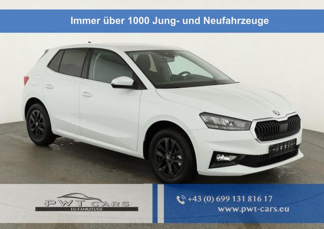 Skoda Fabia - Selection 1.0 TSI DSG Selection, 15-Zoll schwarz, Winter, Ladeboden