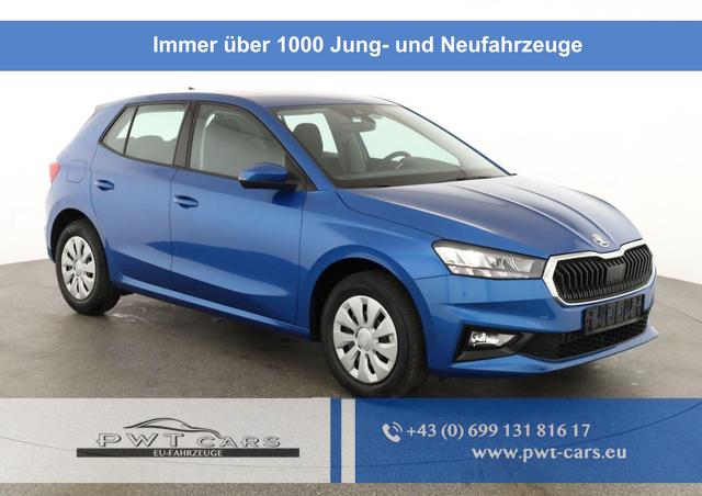 Skoda Fabia - Selection 1.0 TSI Selection, Tempomat, Park, Winterpaket, SmartLink, 4 J.-Garantie