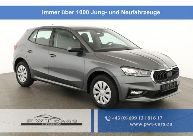 Skoda Fabia - Selection 1.0 TSI Selection, AHK, Tempomat, Ladeboden, Park, Winterpaket, SmartLink, 4-J Garantie