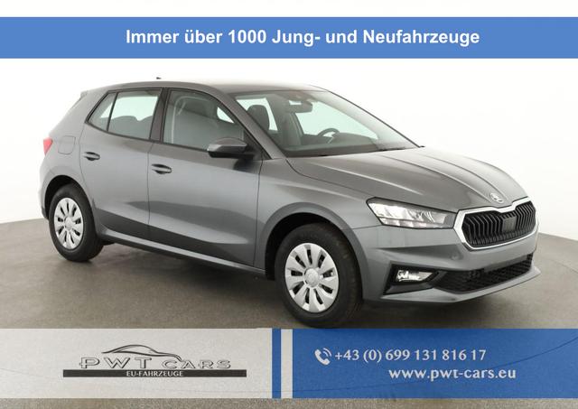 Skoda Fabia - Selection 1.0 TSI Selection, Ladeboden, Park, Winterpaket, SmartLink, 4 J.-Garantie