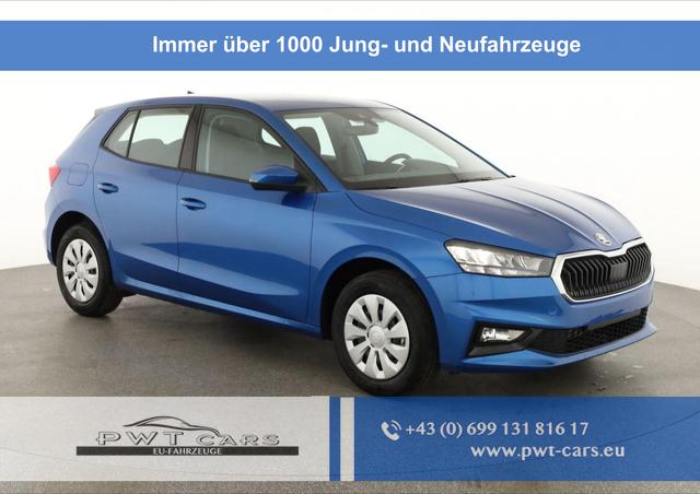 Skoda Fabia - Selection 1.0 TSI Selection, AHK, Tempomat, Ladeboden, Park, Winterpaket, SmartLink, 4-J Garantie