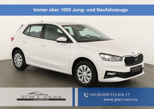 Skoda Fabia - Selection 1.0 TSI Selection, Park, Winterpaket, SmartLink, 4 J.-Garantie