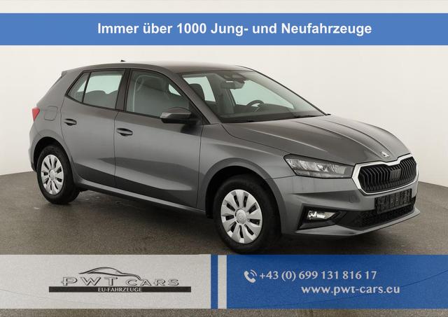 Skoda Fabia - Selection 1.0 TSI Selection, Park, Winterpaket, SmartLink, 4 J.-Garantie