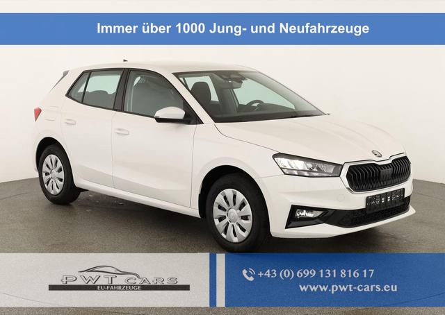 Skoda Fabia - Selection 1.0 TSI Selection, Ladeboden, Park, Winterpaket, SmartLink, 4 J.-Garantie