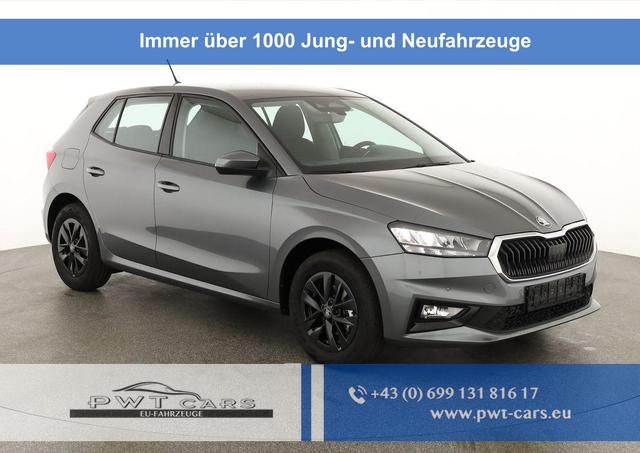Skoda Fabia - Selection 1.0 TSI Selection, LED, Kamera, Winter, 5 J.-Garantie