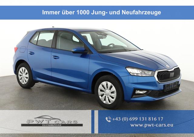 Skoda Fabia - Selection 1.0 TSI Selection, Park, SmartLink, 4 J.-Garantie