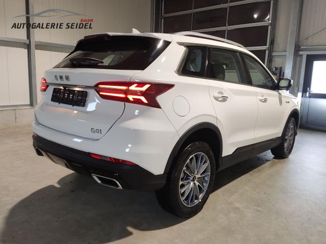 SWM / G01 / Weiß / / / , Beispielbilder, ggf. teilweise mit Sonderausstattung