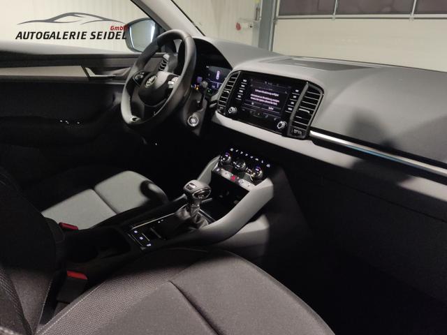 Skoda / Karoq / Schwarz / / / , Beispielbilder, ggf. teilweise mit Sonderausstattung