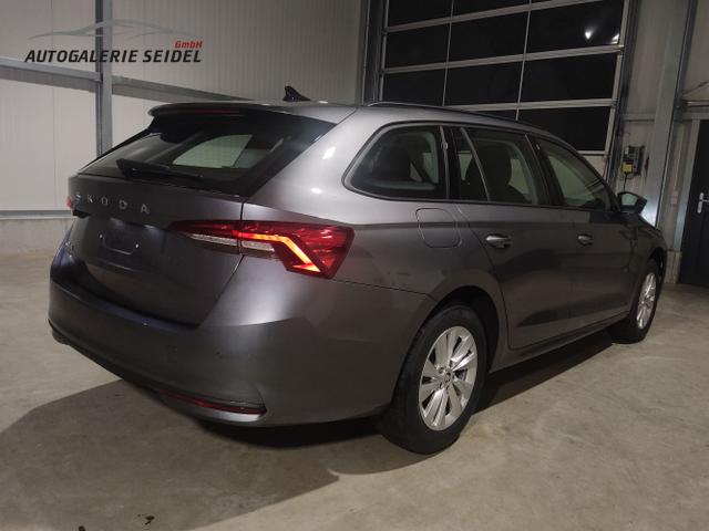 Skoda / Octavia Combi / Grau / / / , Beispielbilder, ggf. teilweise mit Sonderausstattung