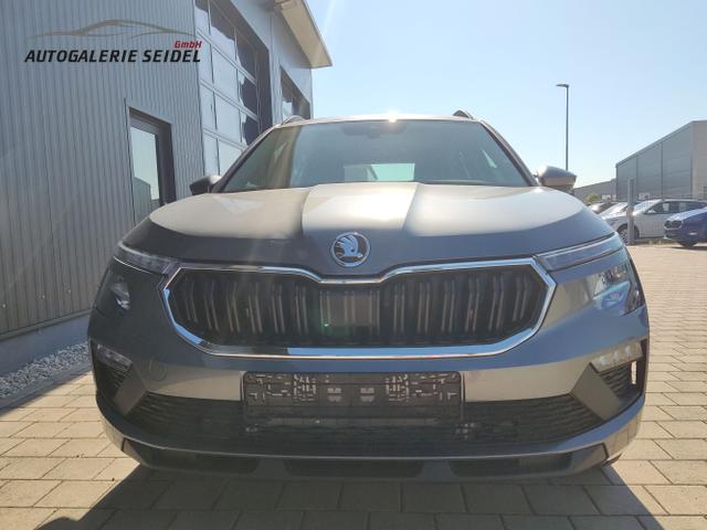 Skoda / Kamiq / Grau / / / , Beispielbilder, ggf. teilweise mit Sonderausstattung