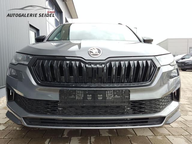 Skoda / Karoq / Grau / / / , Beispielbilder, ggf. teilweise mit Sonderausstattung