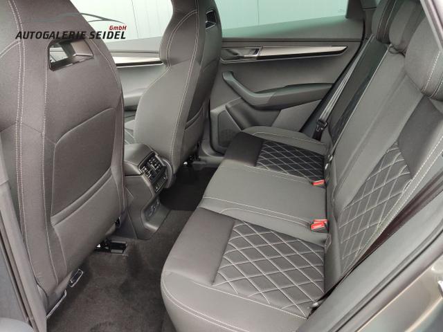 Skoda / Karoq / Grau / / / , Beispielbilder, ggf. teilweise mit Sonderausstattung