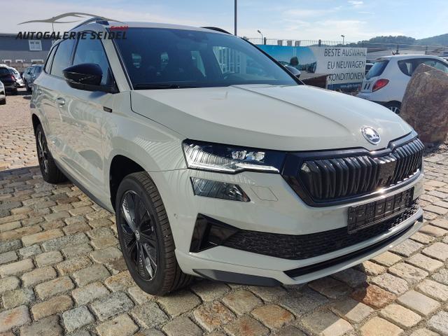 Skoda / Karoq / Grau / / / , Beispielbilder, ggf. teilweise mit Sonderausstattung