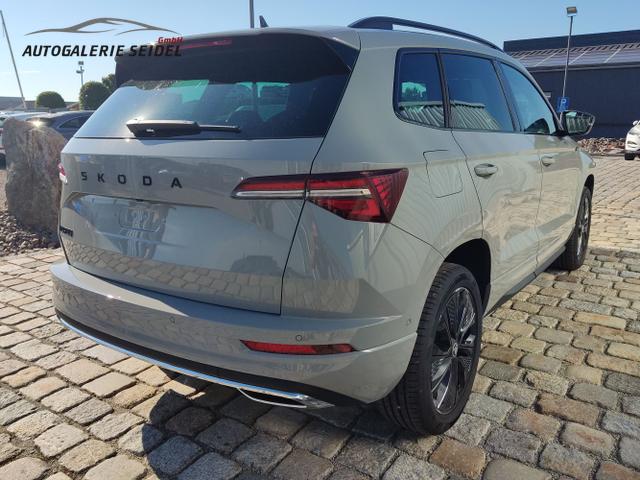 Skoda / Karoq / Grau / / / , Beispielbilder, ggf. teilweise mit Sonderausstattung