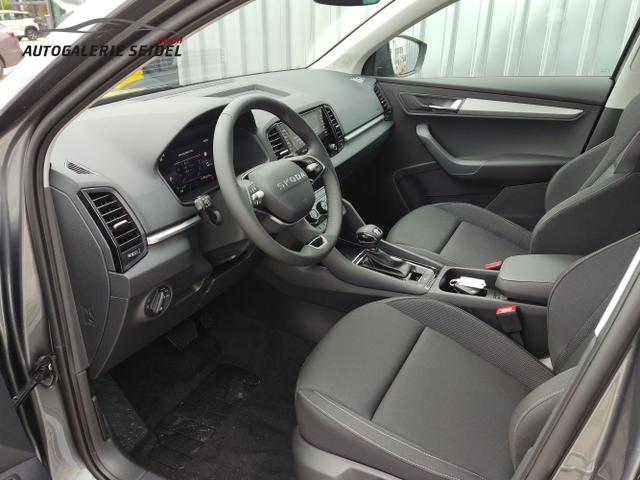 Skoda / Karoq / Grau / / / , Beispielbilder, ggf. teilweise mit Sonderausstattung