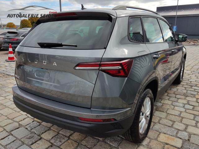 Skoda / Karoq / Grau / / / , Beispielbilder, ggf. teilweise mit Sonderausstattung