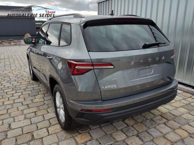 Skoda / Karoq / Grau / / / , Beispielbilder, ggf. teilweise mit Sonderausstattung