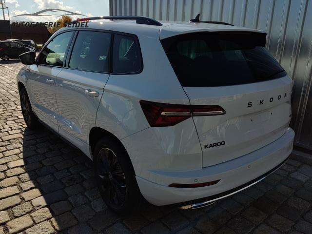 Skoda / Karoq / Weiß / / / , Beispielbilder, ggf. teilweise mit Sonderausstattung
