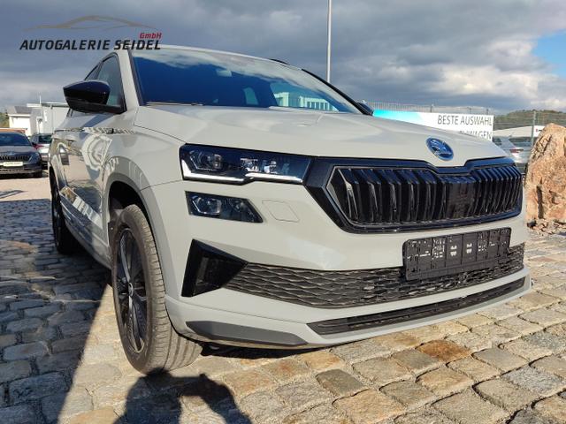 Skoda / Karoq / Grau / / / , Beispielbilder, ggf. teilweise mit Sonderausstattung