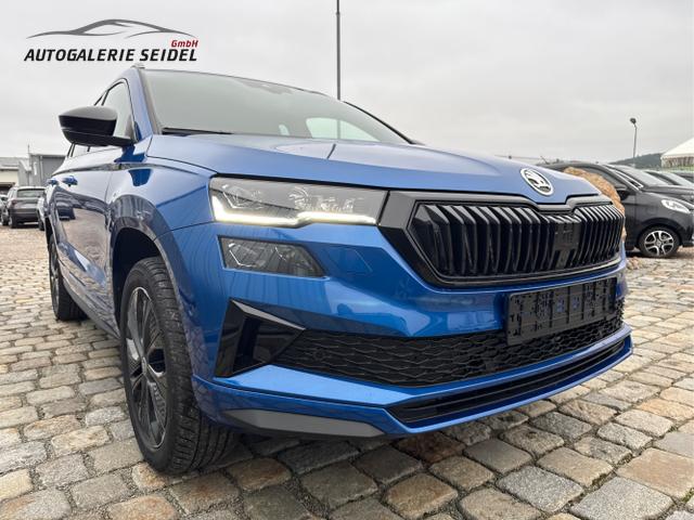 Skoda / Karoq / Blau / / / , Beispielbilder, ggf. teilweise mit Sonderausstattung