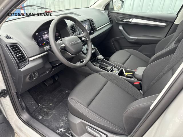 Skoda / Karoq / Grau / / / , Beispielbilder, ggf. teilweise mit Sonderausstattung