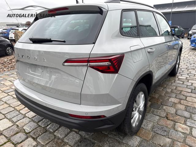 Skoda / Karoq / Grau / / / , Beispielbilder, ggf. teilweise mit Sonderausstattung