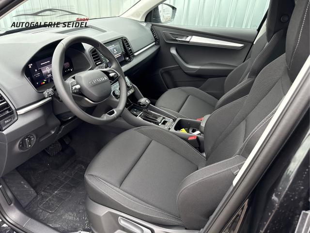 Skoda / Karoq / Schwarz / / / , Beispielbilder, ggf. teilweise mit Sonderausstattung