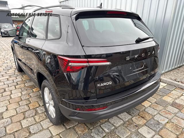 Skoda / Karoq / Schwarz / / / , Beispielbilder, ggf. teilweise mit Sonderausstattung