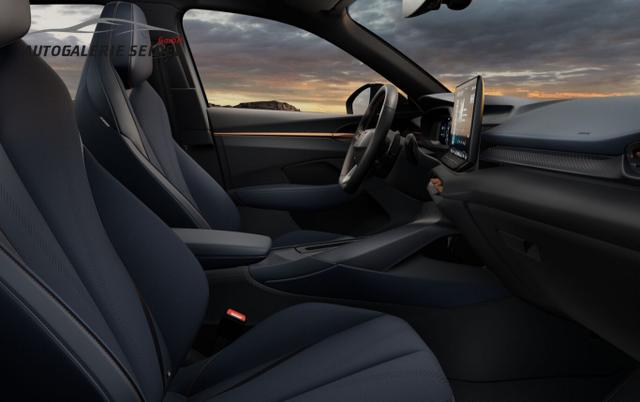 Cupra Terramar 1.5 eTSI 150 DSG LED VirCo SHZ Kam PDC 