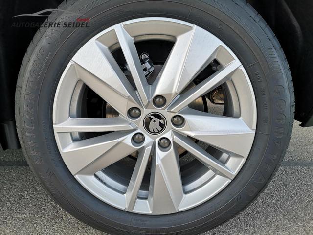 Skoda Karoq Selection 2.0 TDI DSG GV5 AHK 17 Ladeb 