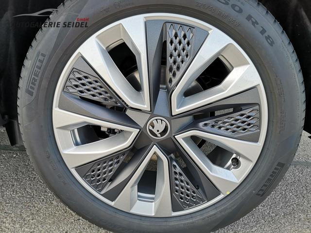 Skoda Karoq Selection 2.0 TDI DSG 4x4 GV5 AHK 18 Ladeb 