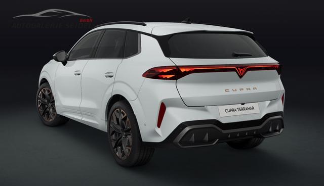 Cupra Terramar VZ 2.0 TSI 195 kW (265 PS) 7-Gang DSG 4Drive 