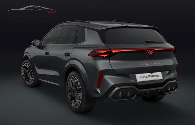 Cupra Terramar VZ 2.0 TSI 195 kW (265 PS) 7-Gang DSG 4Drive 