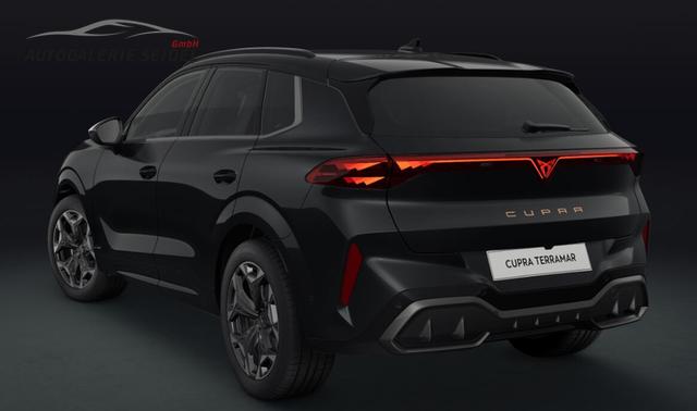 Cupra Terramar VZ 2.0 TSI 