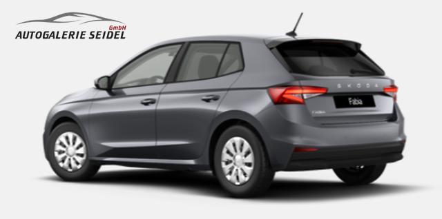 Skoda Fabia Selection 1.0 TSI 7-Gang-DSG 