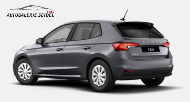 Skoda Fabia Selection 1.0 TSI 7-Gang-DSG 