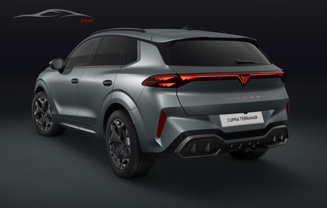 Cupra Terramar VZ 2.0 TSI 7-Gang-DSG 4Drive 
