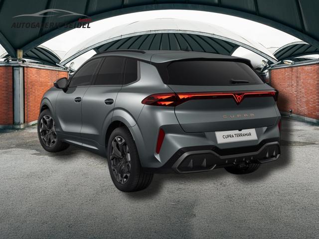 Cupra Terramar VZ 2.0 TSI 7-Gang-DSG 4Drive 