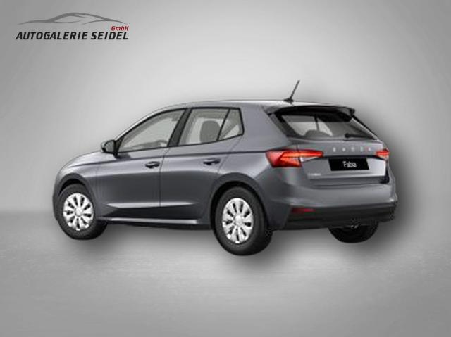 Skoda Fabia Selection 1.0 TSI 7-Gang-DSG 