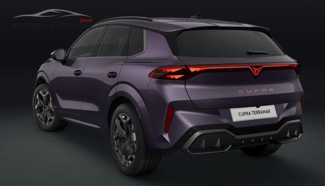 Cupra Terramar VZ 2.0 TSI 195 kW (265 PS) 7-Gang DSG 4Drive 