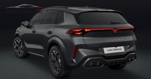Cupra Terramar VZ 2.0 TSI 195 kW (265 PS) 7-Gang DSG 4Drive 