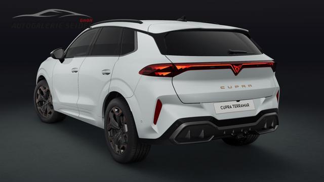 Cupra Terramar VZ 2.0 TSI 195 kW (265 PS) 7-Gang DSG 4Drive 