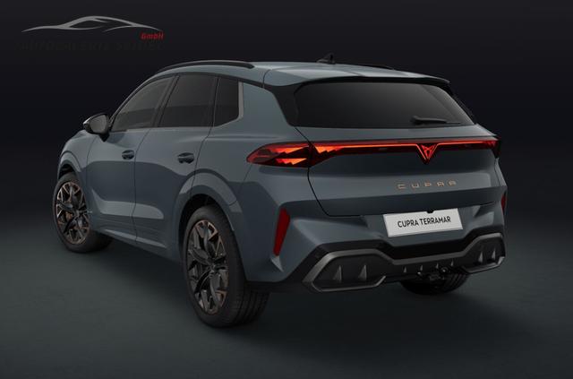 Cupra Terramar VZ 2.0 TSI 195 kW (265 PS) 7-Gang DSG 4Drive 