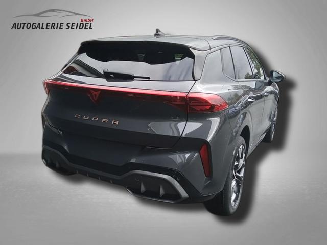 Cupra Terramar VZ 2.0 TSI 7-Gang-DSG 4Drive 