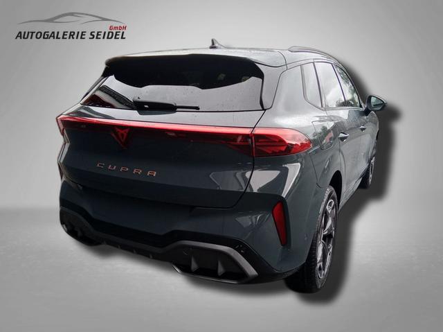 Cupra Terramar VZ 2.0 TSI 7-Gang-DSG 4Drive 