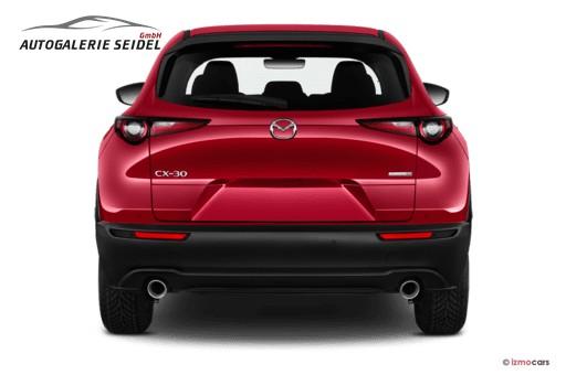 Mazda CX-30 2.0 SKYACTIV-X M Hybrid Selection 2WD 