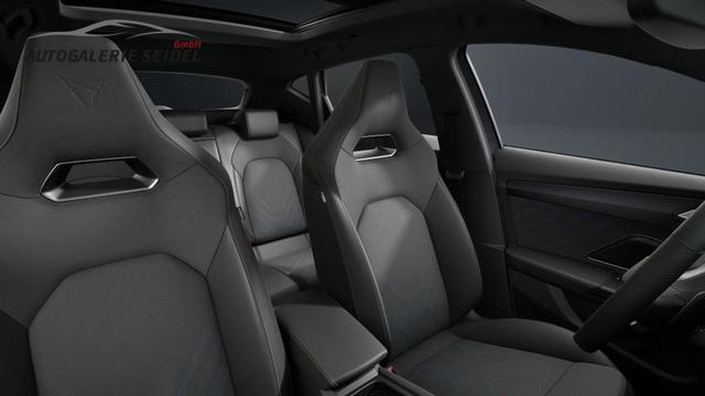 Cupra Formentor VZ 2.0 TSI 7-Gang-DSG 4Drive 