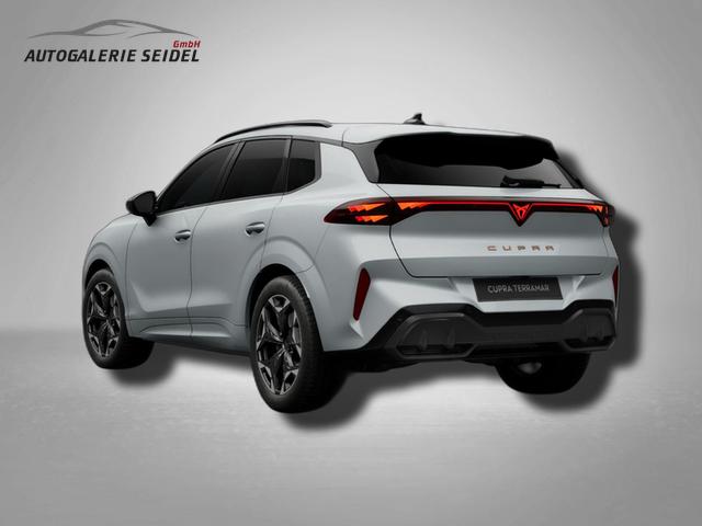 Cupra Terramar VZ 2.0 TSI 