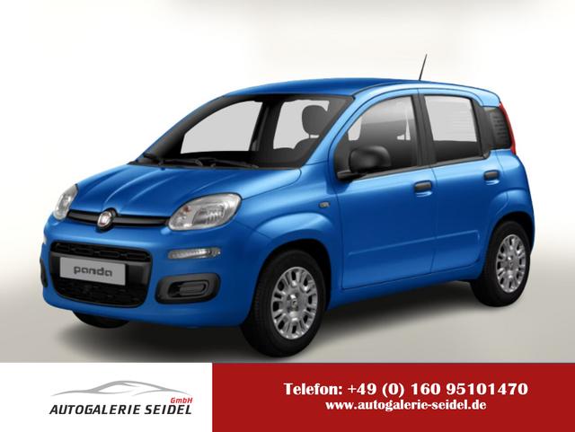 Fiat Panda - MHEV 70 5"-DAB Temp PDC DigCo LaneA 5-Sitz