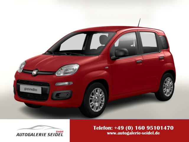 Fiat Panda - MHEV 70 5"-DAB Temp PDC DigCo LaneA 5-Sitz